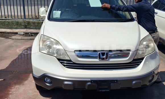 Buy Used Honda CRV White Car in Port Moresby in National Capital District Buy Used Honda CRV White Car in Port Moresby in National Capital District