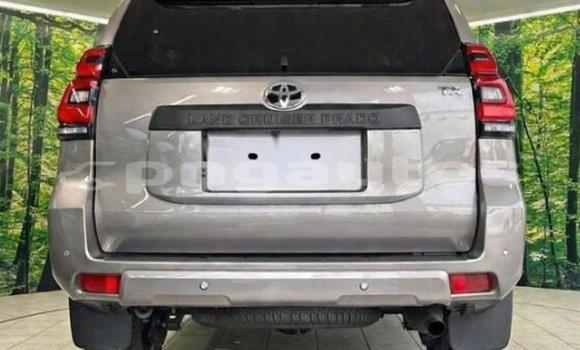 Buy Used Toyota Land Cruiser Prado Black Car in Port Moresby in National Capital District Buy Used Toyota Land Cruiser Prado Black Car in Port Moresby in National Capital District