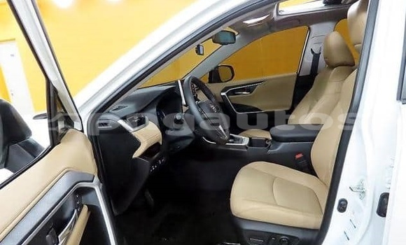 Buy Used Toyota RAV4 White Car in Port Moresby in National Capital District Buy Used Toyota RAV4 White Car in Port Moresby in National Capital District