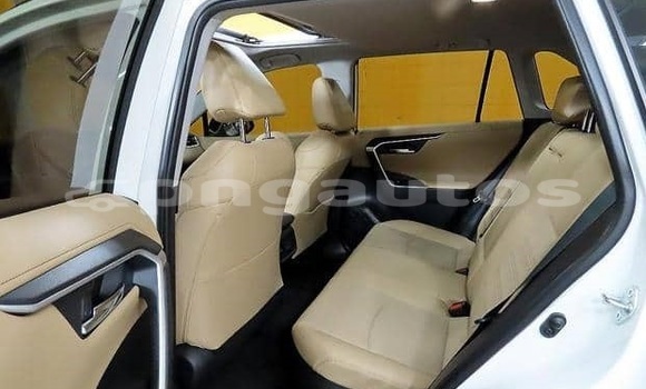 Buy Used Toyota RAV4 White Car in Port Moresby in National Capital District Buy Used Toyota RAV4 White Car in Port Moresby in National Capital District