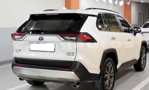 Buy Used Toyota RAV4 White Car in Port Moresby in National Capital District Buy Used Toyota RAV4 White Car in Port Moresby in National Capital District