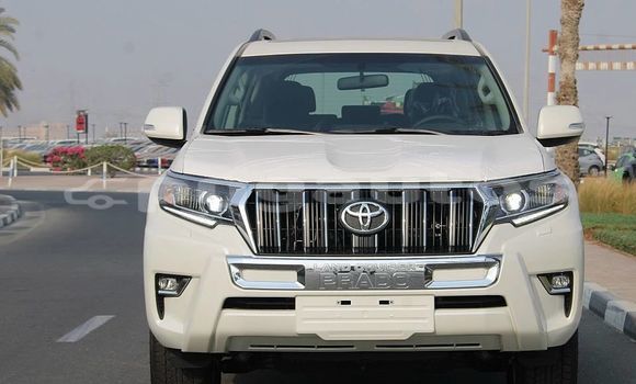 Buy Used Toyota Land Cruiser Prado White Car in Port Moresby in National Capital District