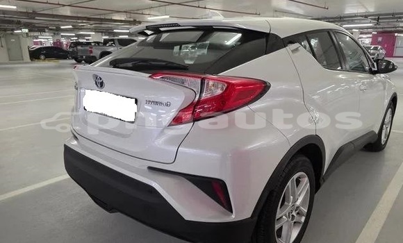 Buy Used Toyota C-HR White Car in Port Moresby in National Capital District Buy Used Toyota C-HR White Car in Port Moresby in National Capital District