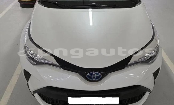 Buy Used Toyota C-HR White Car in Port Moresby in National Capital District Buy Used Toyota C-HR White Car in Port Moresby in National Capital District