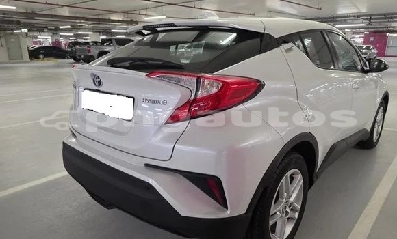 Buy Used Toyota C-HR White Car in Port Moresby in National Capital District Buy Used Toyota C-HR White Car in Port Moresby in National Capital District