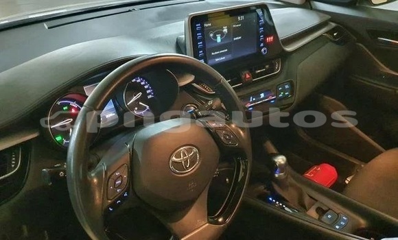 Buy Used Toyota C-HR White Car in Port Moresby in National Capital District Buy Used Toyota C-HR White Car in Port Moresby in National Capital District