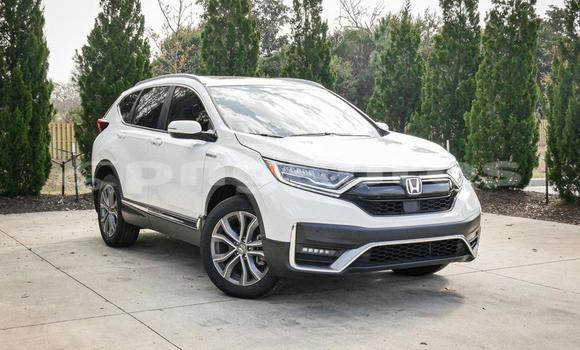 Buy Used Honda CRV White Car in Port Moresby in National Capital District
