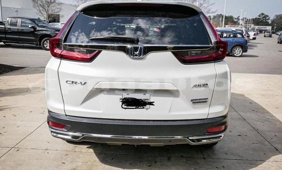 Buy Used Honda CRV White Car in Port Moresby in National Capital District Buy Used Honda CRV White Car in Port Moresby in National Capital District