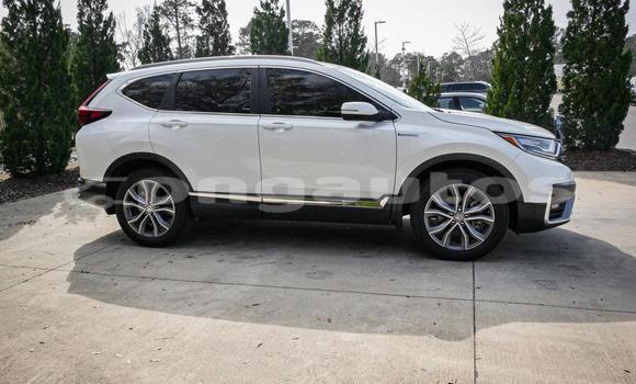 Buy Used Honda CRV White Car in Port Moresby in National Capital District Buy Used Honda CRV White Car in Port Moresby in National Capital District