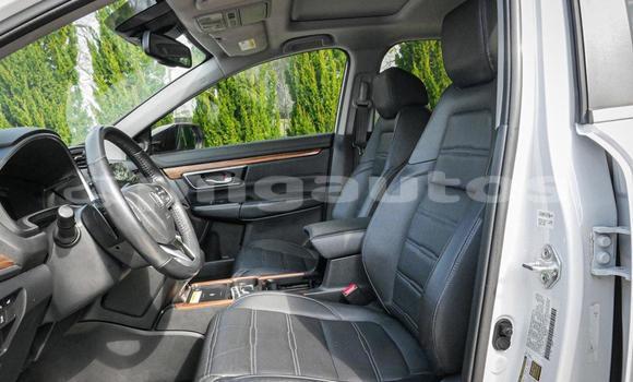 Buy Used Honda CRV White Car in Port Moresby in National Capital District Buy Used Honda CRV White Car in Port Moresby in National Capital District