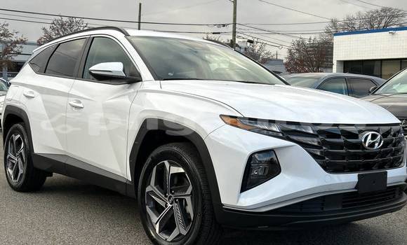 Buy Used Hyundai Tucson White Car in Port Moresby in National Capital District