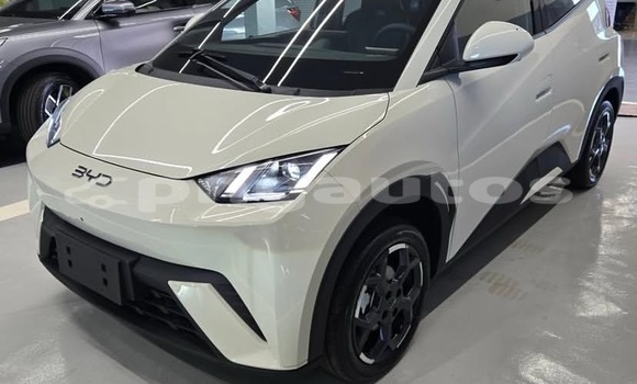 Buy Used BYD S6 White Car in Port Moresby in National Capital District