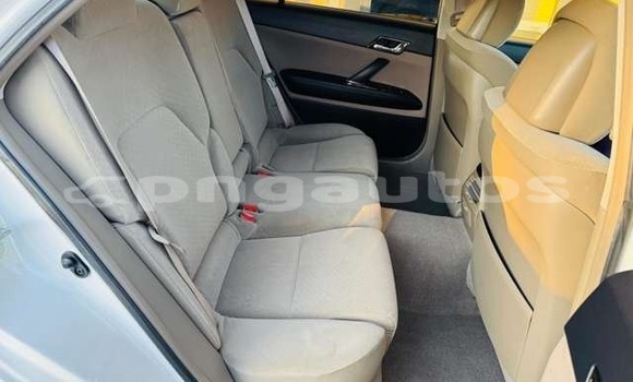 Buy Used Toyota Mark X White Car in Port Moresby in National Capital District Buy Used Toyota Mark X White Car in Port Moresby in National Capital District