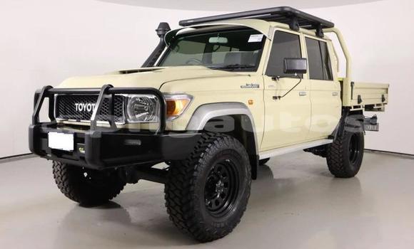 Buy Used Toyota Land Cruiser Brown Car in Lae in Morobe
