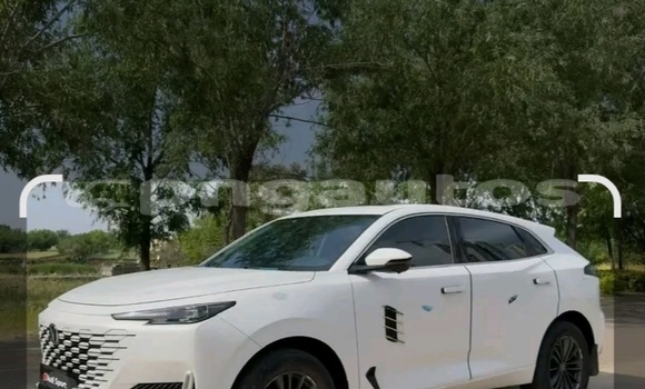 Buy Used Adler Diplomat Black Car in Port Moresby in National Capital District