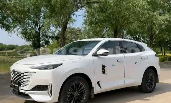 Buy Used Adler Diplomat Black Car in Port Moresby in National Capital District Buy Used Adler Diplomat Black Car in Port Moresby in National Capital District