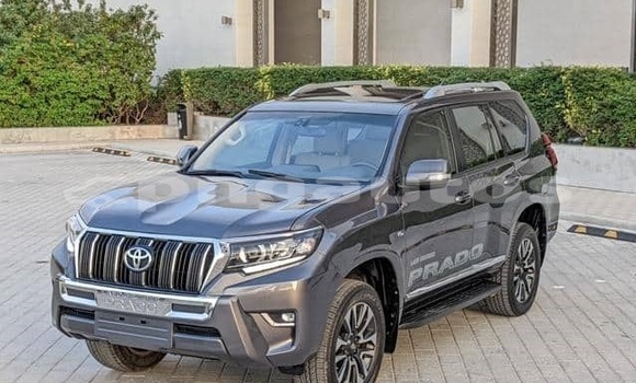 Buy Used Toyota Land Cruiser Prado White Car in Port Moresby in National Capital District