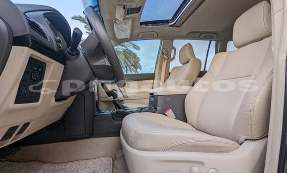 Buy Used Toyota Land Cruiser Prado White Car in Port Moresby in National Capital District Buy Used Toyota Land Cruiser Prado White Car in Port Moresby in National Capital District
