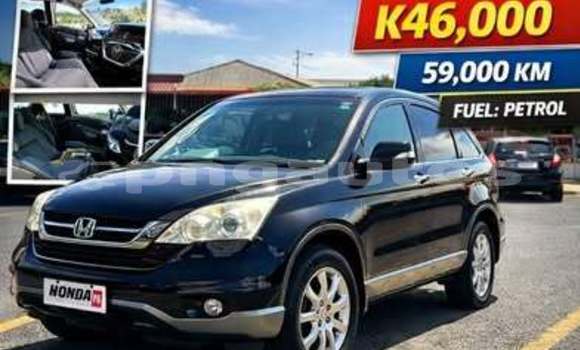 Buy Used Honda CRV Other Car in Ambok in Madang