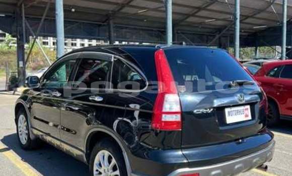 Buy Used Honda CRV Other Car in Ambok in Madang Buy Used Honda CRV Other Car in Ambok in Madang