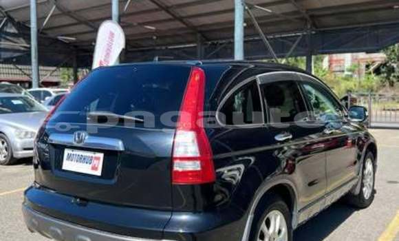 Buy Used Honda CRV Other Car in Ambok in Madang Buy Used Honda CRV Other Car in Ambok in Madang