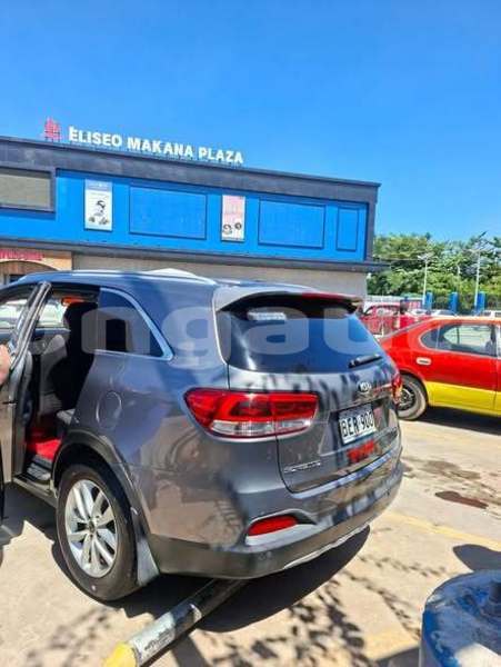 Big with watermark kia sorento east sepik ambunti 8036