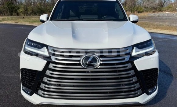 Buy Used Lexus LX White Car in Angoram in East Sepik