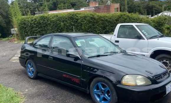 Buy Used Honda Civic Other Car in Ambok in Madang Buy Used Honda Civic Other Car in Ambok in Madang