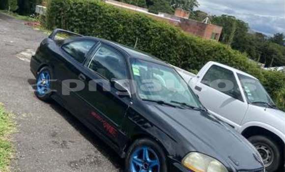 Buy Used Honda Civic Other Car in Ambok in Madang Buy Used Honda Civic Other Car in Ambok in Madang