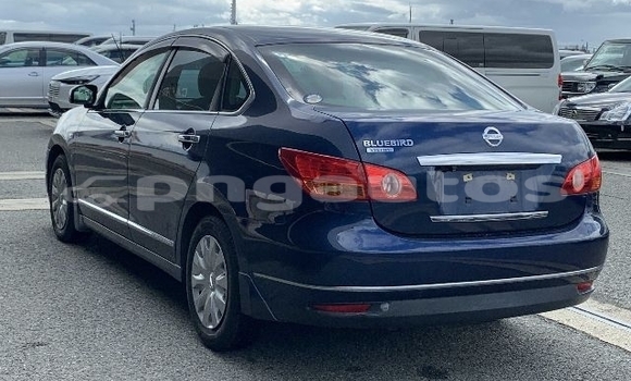 Buy Used Nissan Bluebird Sylphy Blue Car in Port Moresby in National Capital District Buy Used Nissan Bluebird Sylphy Blue Car in Port Moresby in National Capital District