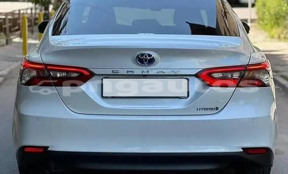 Buy Used Toyota Camry White Car in Port Moresby in National Capital District Buy Used Toyota Camry White Car in Port Moresby in National Capital District