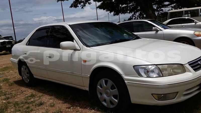 Big with watermark 51737734 2249382328611704 5289419565539786752 o