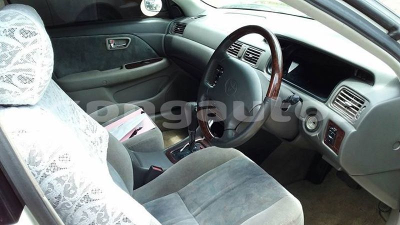 Big with watermark 52179335 2249383601944910 7531410816382271488 o