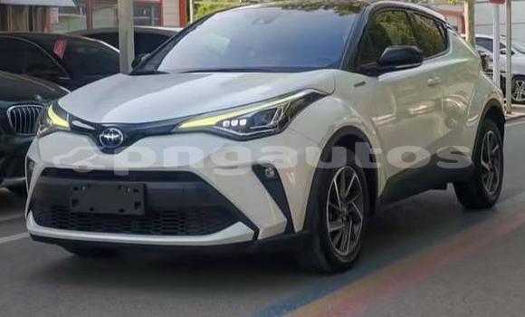 Buy Used Toyota C-HR White Car in Port Moresby in National Capital District