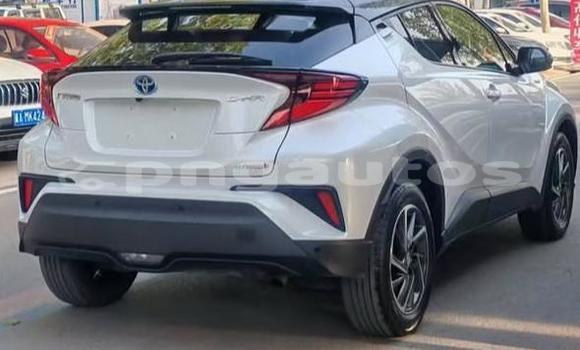 Buy Used Toyota C-HR White Car in Port Moresby in National Capital District Buy Used Toyota C-HR White Car in Port Moresby in National Capital District