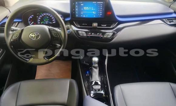 Buy Used Toyota C-HR White Car in Port Moresby in National Capital District Buy Used Toyota C-HR White Car in Port Moresby in National Capital District