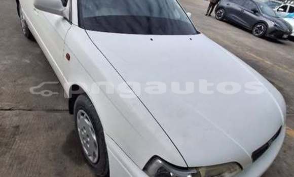 Buy Used Toyota Vista Other Car in Pomio in East New Britain
