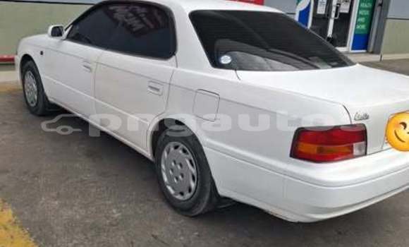 Buy Used Toyota Vista Other Car in Pomio in East New Britain Buy Used Toyota Vista Other Car in Pomio in East New Britain