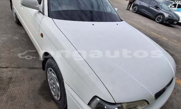 Buy Used Toyota Vista Other Car in Pomio in East New Britain Buy Used Toyota Vista Other Car in Pomio in East New Britain