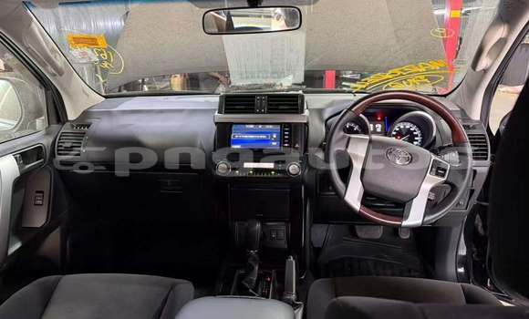 Buy Used Toyota Land Cruiser Prado Other Car in Pinu in Central Buy Used Toyota Land Cruiser Prado Other Car in Pinu in Central