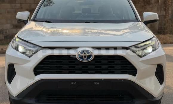 Buy Used Toyota RAV4 White Car in Port Moresby in National Capital District