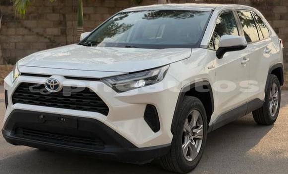 Buy Used Toyota RAV4 White Car in Port Moresby in National Capital District Buy Used Toyota RAV4 White Car in Port Moresby in National Capital District