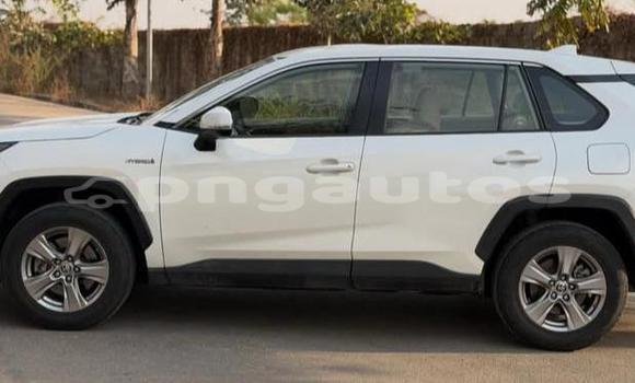 Buy Used Toyota RAV4 White Car in Port Moresby in National Capital District Buy Used Toyota RAV4 White Car in Port Moresby in National Capital District