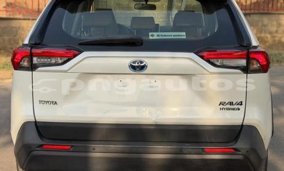 Buy Used Toyota RAV4 White Car in Port Moresby in National Capital District Buy Used Toyota RAV4 White Car in Port Moresby in National Capital District
