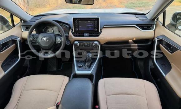 Buy Used Toyota RAV4 White Car in Port Moresby in National Capital District Buy Used Toyota RAV4 White Car in Port Moresby in National Capital District