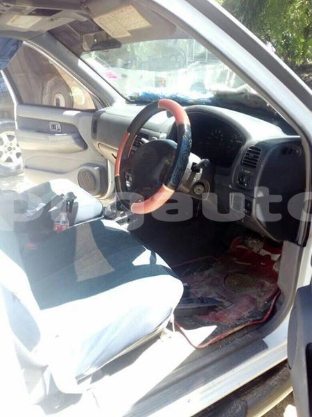 Big with watermark 51669942 500961853767928 8722609718071132160 n