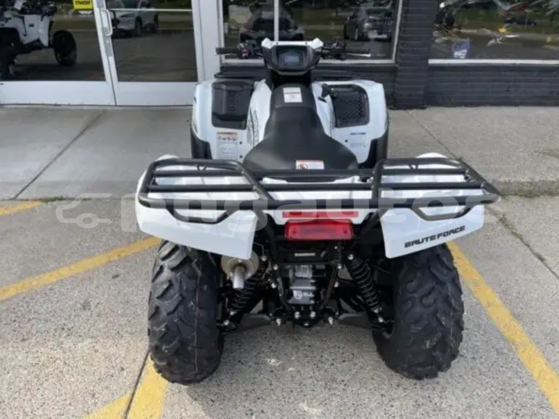 Big with watermark kawasaki brute force madang ambok 8147