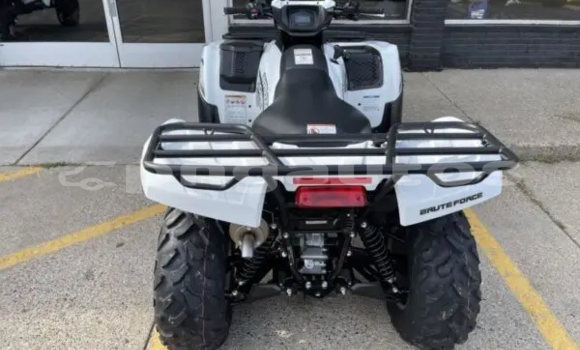 Buy New Kawasaki Brute Force White Bike in Ambok in Madang Buy New Kawasaki Brute Force White Bike in Ambok in Madang