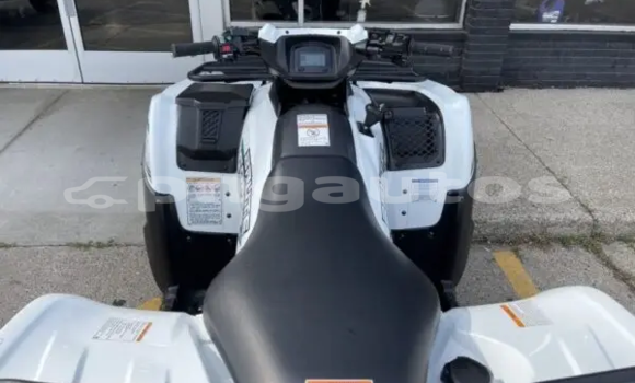 Buy New Kawasaki Brute Force White Bike in Ambok in Madang Buy New Kawasaki Brute Force White Bike in Ambok in Madang