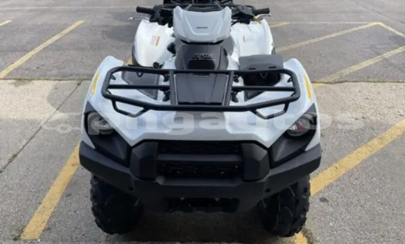 Buy New Kawasaki Brute Force White Bike in Ambok in Madang Buy New Kawasaki Brute Force White Bike in Ambok in Madang